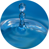 บริษัท Nantong Tianhong Textile Technology Co. , Ltd.