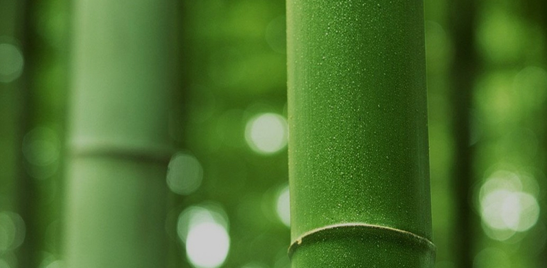 บริษัท Nantong Tianhong Textile Technology Co. , Ltd.